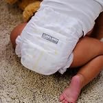 Kirkland Signature Diapers, Size 3 (222-Count)