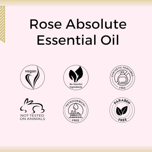 Image of Aroma Treasures 100% Pure Rose Absolute Essential Oil - 5ml