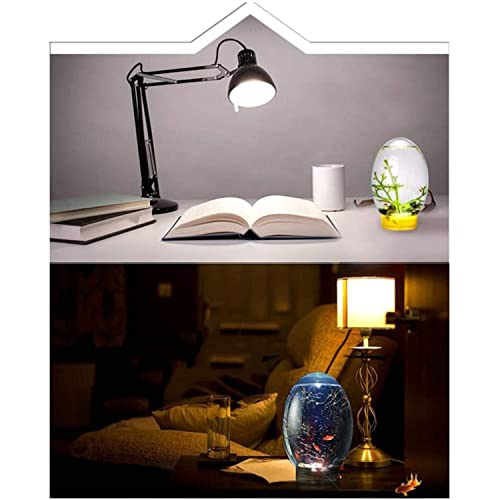 YYDX Ecosphere Desktop Fish Tank Closed Spherical Fish Tank Aquatic Ecosystem, with LED Lighting,Blue