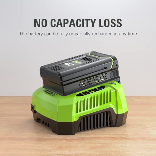 Image of Greenworks PRO 80V 5.0Ah Lithium-Ion Battery (Genuine Greenworks Battery / 75+ Compatible Tools)
