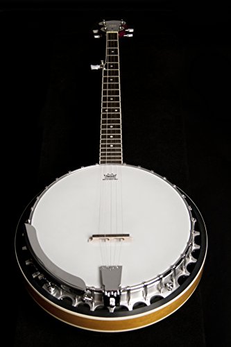 Washburn Banjo, 5 String #TOP5