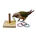 Stacking Rings Bird Toy Set for Small Medium Birds Mental Physical Stimulation, Training Puzzle Solving (Assorted Color)