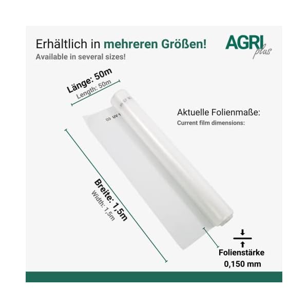 AGRI plus Gewächshausfolie 1,5 x 50 m I Hochtransparente & reißfeste Gartenfolie für Abdeckungen im Außenbereich I… – Bild 4