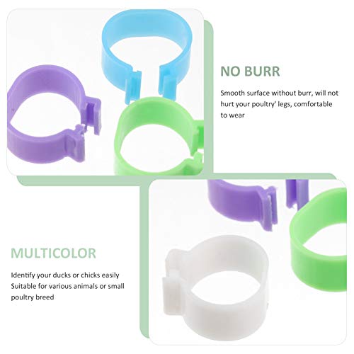 POPETPOP Bandas Anel de Pássaro Pé de Galinha Frango Perna Bandas de Identificação Etiquetas Numerad