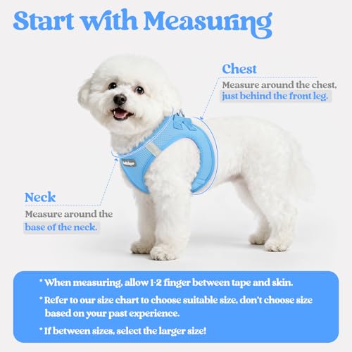 Image of rabbitgoo Dog Harness Small Sized and Leash Set, Step-in Puppy Pet Vest
