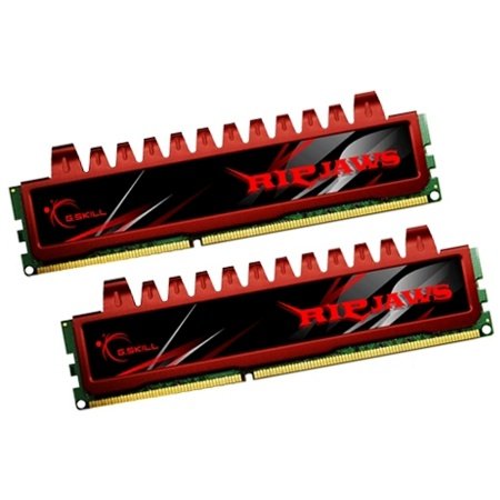 G.Skill Ripjaws 8 GB
