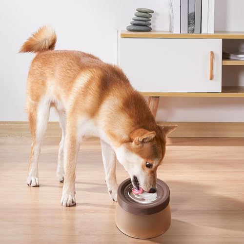 Bol à eau flottant pour chiens de 1200ml anti-éclaboussures - 6