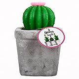 helio ferretti candele a forma di cactus con vaso di pietra. cactus con fiore o cactus con segmenti. materiale paraffina e cemento. dimensioni (cm) 20x10x10