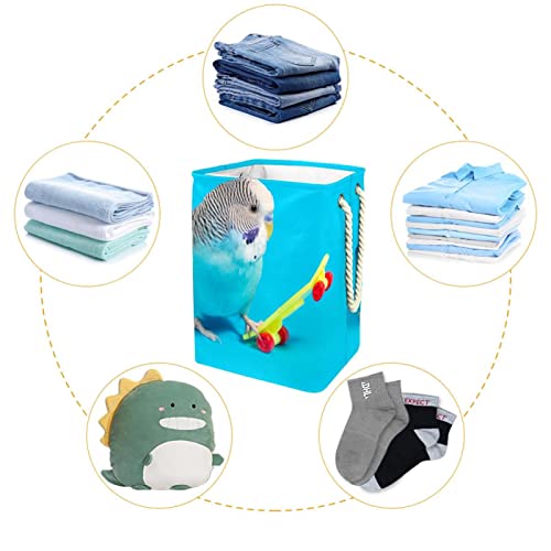 Sac à linge Melopsittacus robuste et grand bac de tri ergonomique