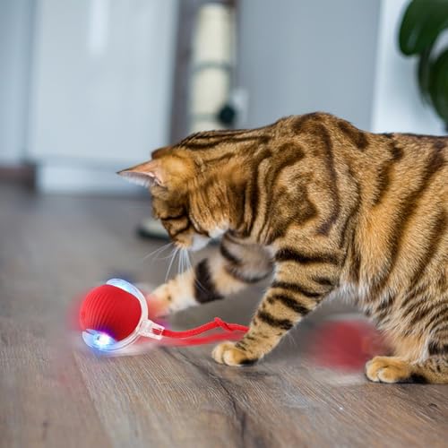 LETTERASHQP Katzenspielzeug Elektrisch Katzenball Elektrisch Elektronisches Interaktives Hundespielzeug Ball Katzenspielzeug Selbstbeschäftigung Smart mit Schwanz für Katzen Hunde (rot)