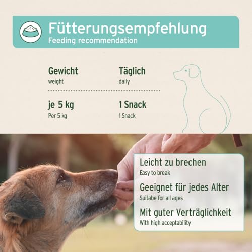 AniForte Denta Snack für Hunde 300g - natürliche Zahnpflege, gegen Hund Mundgeruch, Hundeleckerli für gesunde Zähne & Vorbeugung, Mundhygiene Zahnpflegesnacks getreidefrei