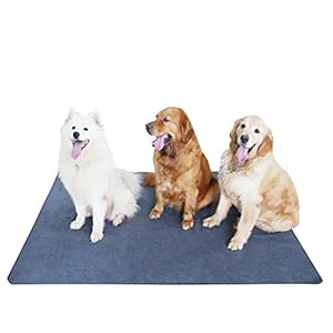 Peepeego Waschbare Hundeunterlagen 65x48 cm