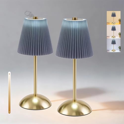 PetiitLyt Set of 2 Table Lamps Cordless, LED Small Rechargeable Lamps, 3 Color Temperatures & Stepless Dimming, Mini Table Lamp Set Battery Operated for Bedside, Living Room, Home Decor (Slate Blue)