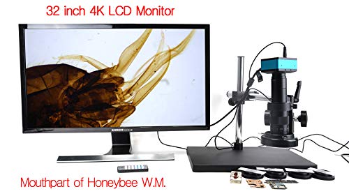 Hayear 4K Hdmi Microscope Camera Kit For Industry Lab Pcb Usb Output Tf Card Video Recorder +180X C-Mount Lens + Big Stereo Stand +144 Led Light #TOP6