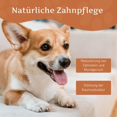 Wildfang® Yak-Kausnacks für Hunde, XS (ca. 21 g) – Himalaya Yak-Käse Hundekaustangen, Natürliche Hundeleckerlis, Welpen-Beißspielzeug, Harte Churpi-Dentalsticks für Hunde unter 10 kg, 1er-Pack