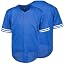 Blue2-mesh