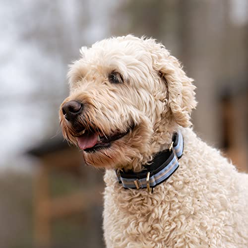 image for If It Barks 1.5 inch Martingale Dog Collars - Quick Snap Release Buckl