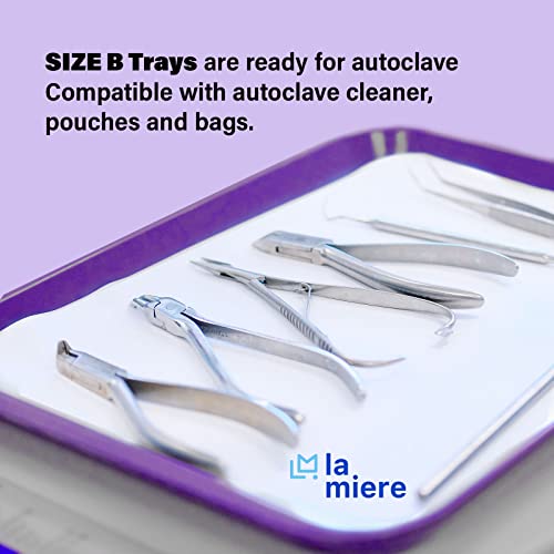 2Pcs Autoclavable Dental Procedure Tray Lockable Set Up Flat Trays Size B (Ritter),Plastic Instrument B-Lok Flat Trays, 13.25 X 9.75X 0.875 Inches (2, Purple) #TOP3