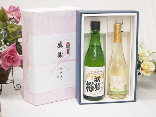 ~̑蕨Ε ӂ̑蕨{bNX {ĎƍYCZbg(MBVC}XJbgiCAK Xp[NOCÌ(쌧)500ml ፁĎ 720ml