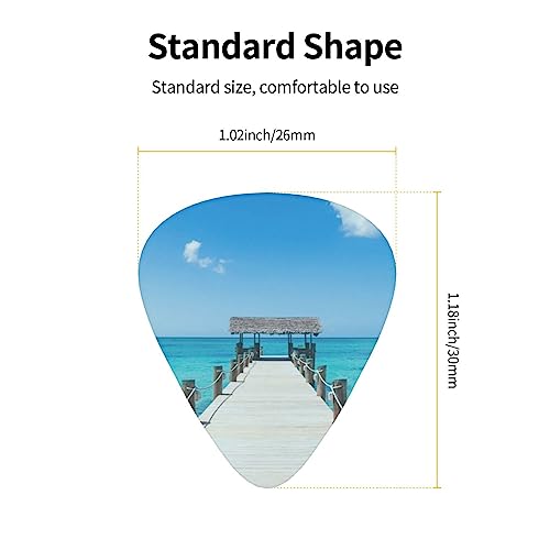 Tropical Pier Lot de 12 médiators tendance et durables dans une boîte pour ukulélé guitare électrique basse - Les Beatles, Paul McCartney, John Lennon, RIngo Starr, George Harrison Tropical Pier Lot de 12 médiators tendance et durables dans une boîte pour ukulélé guitare électrique basse – Image 5