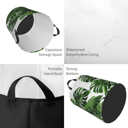 Panier à linge gain de place Monstera étanche pour petit espace - 5