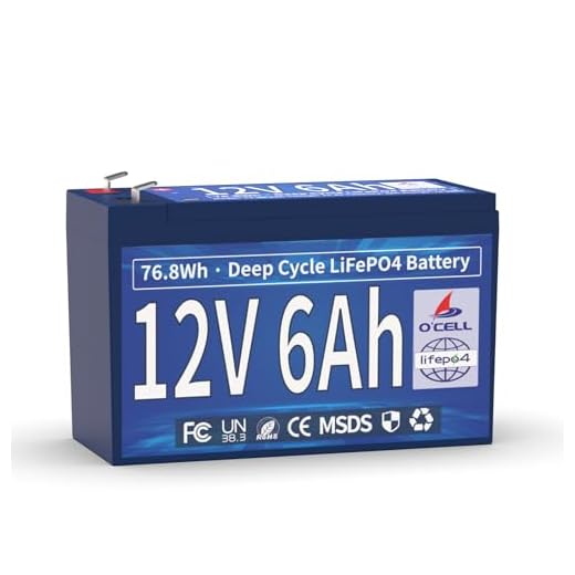 12V 6Ah Lithium Iron Phosphate Battery, Rechargeable LiFePo4 Battery with 10 Years Lifetime, Low Self-Discharge for Kid Scooters, Security Alarm, Power Wheel, Fish Finder, Emergency Lighting