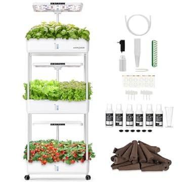 large indoor hydroponic system