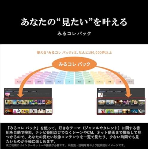 undefined 【セット買い】 REGZA 55インチ Airplay 2 ネット動画対応 4K液晶 E350Mシリーズ 55E350M スマートテレビ 2023年モデル + IODATA SSD 外付け 1TB テレビ録画 PC対応 USB-A 小型 スティック ポータブル 全録 タイムシフトマシン【レグザ/ディーガ/Windows】USB 3.2 Gen 2 日本メーカー AVSSD-RS1/UE の商品画像 13