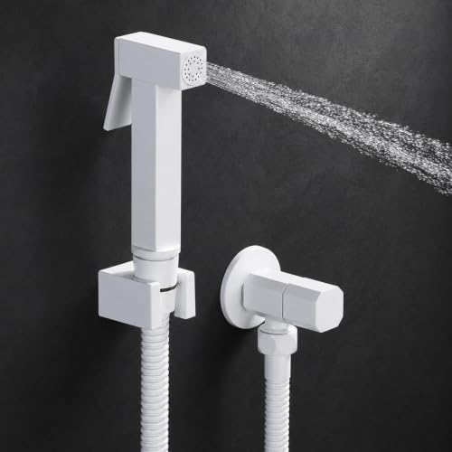 Douchette Toilette WC, Douchette WC Blanche, Laiton Douchette à Main Bidet