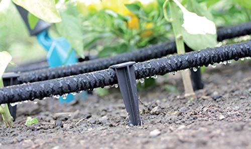 GARDENIX set van 50 stuks AquaPeg tuinslanganker grondspike montageanker voor druppelslang, parelslang, plugvork - Image 3