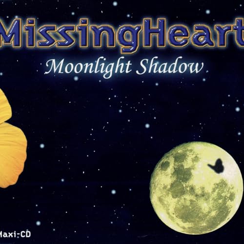 Missing Heart