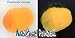 Avid Colorist Glow Powder - Fluorescent Orange (Daylight)/Orange Yellow Glow (Dark) - 1oz (30g) Pigment for Resin, Slime, Nail Polish, Coatings, Paint, Acrylic