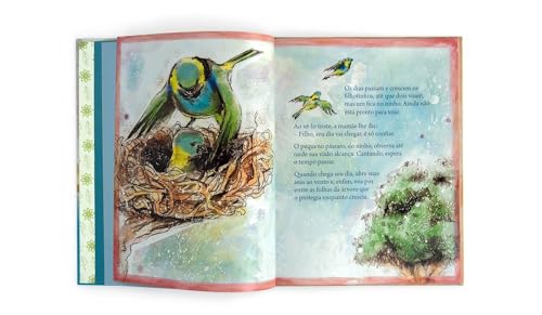 Saíra sete cores Saíra sete cores - Imagem 4