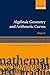 Algebraic Geometry and Arithmetic Curves (Oxford Graduate Texts in Mathematics)