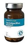 Sanatura Lactobacillus reuteri – 60 Kapseln – Milchsäurebakterien inaktiviert – wohltuend für den Magen – 20 Mrd pro Tagesdosis – vegan