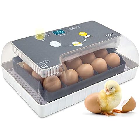 Jumbl Clear Egg Incubator, Fully Automatic Digital Poultry Hatching Machine with Temperature Control, Automatic Egg Turner, LED Candler, Mini 12 Egg Incubator Breeder for Chicken, Ducks, Birds & More Cover
