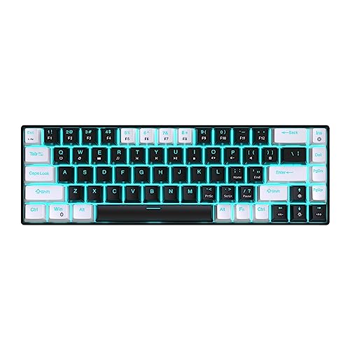 Clavier mécanique remplaçable à chaud pour PC gamer avec 19 modes d'éclairage rétroéclairé RGB
