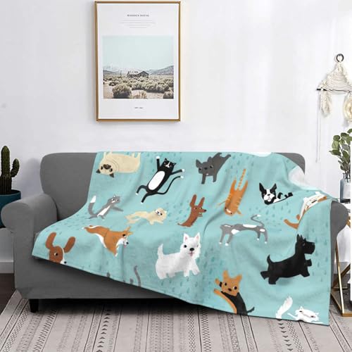 Couverture de lit EdWal en microfibre hypoallergénique motif chat - 5
