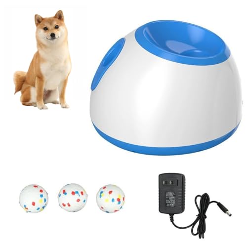 Kiwet {[`[,{[ `[̌P̂̃Q[ {[   @ ˋ3iK \ 3̃~jejX{[t ^E^pejX{[@ mߋ ybgpi (u[)