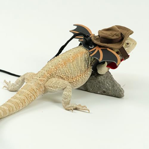 Image of Bearded Dragon Leash Bat Wings Hat Costume Set, Adjustable Cowboy Hat Lizard Leash Harness (S /M /L 3 Pack) for Reptile Lizard Leopard Gecko Holiday Party Accessories
