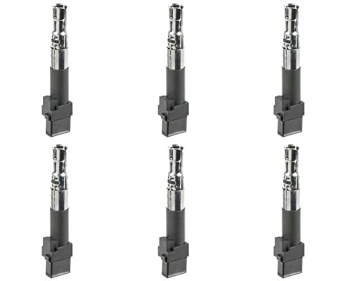 For Audi TT A3 Porsche Cayenne VW Touareg Passat R32 Ignition Coil Set - BuyAutoParts 32-70150F6 NEW
