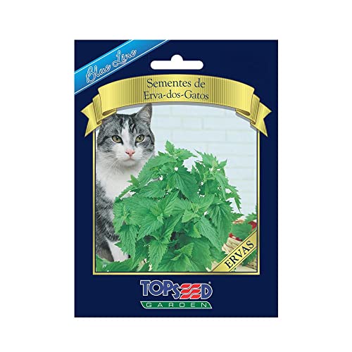 Semente Topseed Erva dos Gatos Blueline