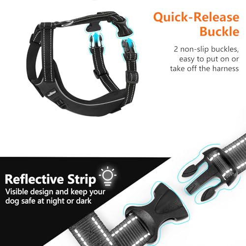 Harnais ceinture de sécurité pour chien ajustable grand animal noir L