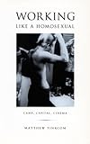 Working Like a Homosexual: Camp, Capital, Cinema (Series Q)