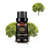 【Fonte】- Canfora Olio Essenziale è derivato dal camphora botanico Cinnamomum ed è indicato anche come vero canfora, canfora comune, Gum Canfora, e Formosa canfora.
