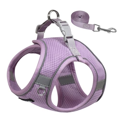 AIITLE Pettorina e guinzaglio per cani, imbracatura per cuccioli anti-tiro con rete super traspirante, riflettente per passeggiate all'aperto per cani di piccola taglia, gatti Viola XS