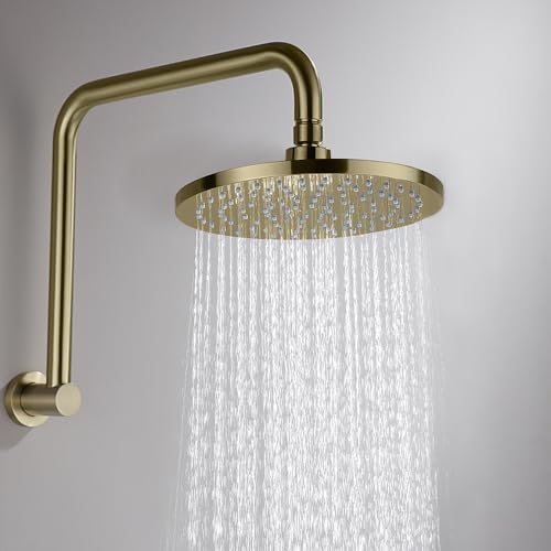 Decaura Gooseneck Shower Arm Extension with 9" Swivel Rain Shower Head Set Brass