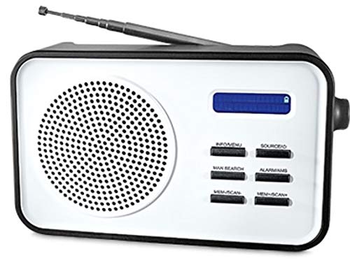 Preisvergleich Produktbild Tragbares DAB Radio DAB+, UKW zweizeiligem Display
