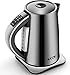 Produktbild Aicok Kettle Edelstahl 6 Stufen Whlbare Temperatur,Calcium Filter Integriert,1.7L 1,7 Liter Silber