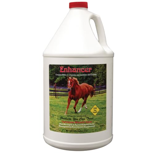 Cox Vet Labs The Enhancer Gallon Liquid Muscle Support Supplement for Horses with Gamma Oryzanol Pregnenolone Supports Strength Speed Healthy Development